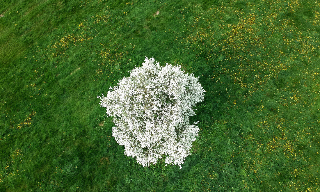 La primavera nel mondo: le foto più belle La primavera nel mondo: le foto più belle