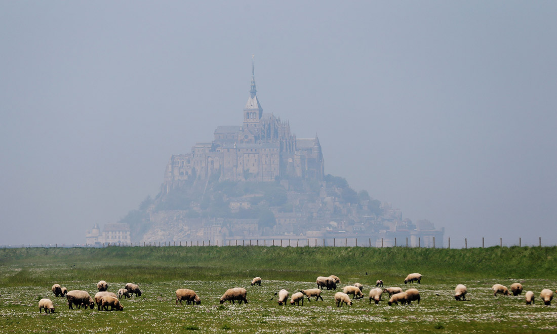 La primavera nel mondo: le foto più belle La primavera nel mondo: le foto più belle