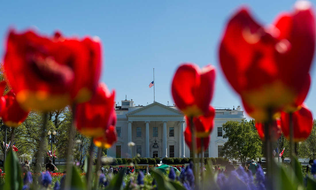 La primavera nel mondo: le foto più belle La primavera nel mondo: le foto più belle