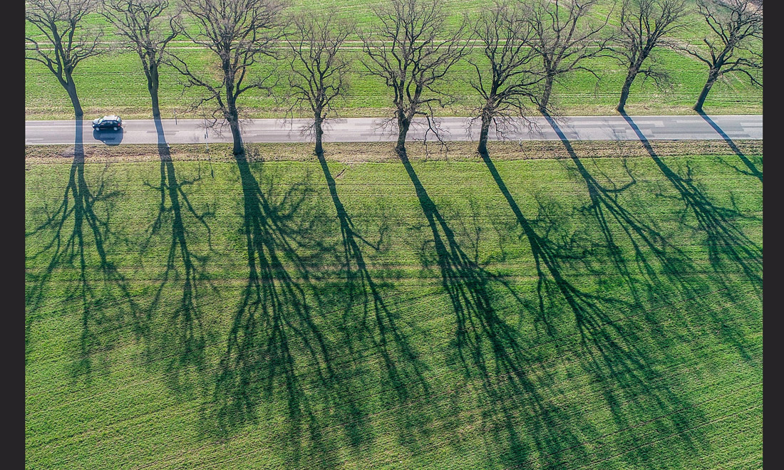 La primavera nel mondo: le foto più belle La primavera nel mondo: le foto più belle