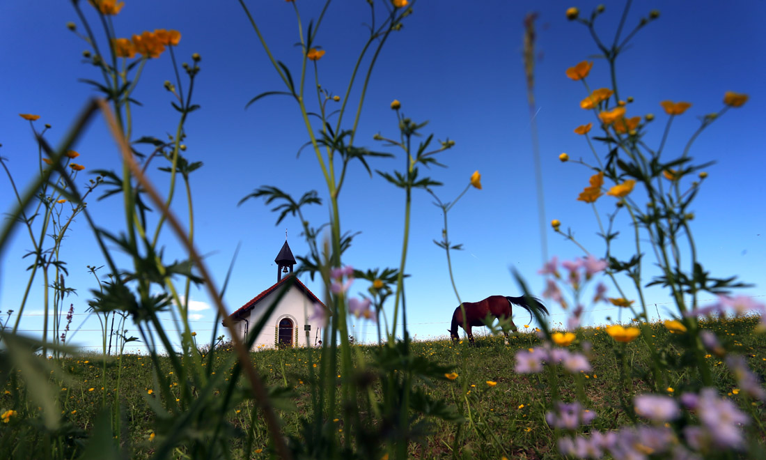 La primavera nel mondo: le foto più belle La primavera nel mondo: le foto più belle