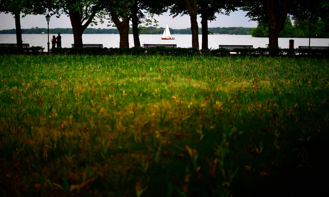 La primavera nel mondo: le foto più belle La primavera nel mondo: le foto più belle