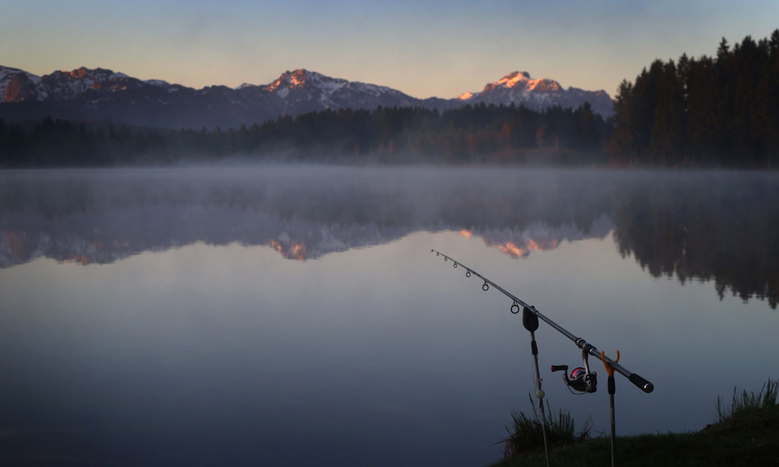 La primavera nel mondo: le foto più belle La primavera nel mondo: le foto più belle