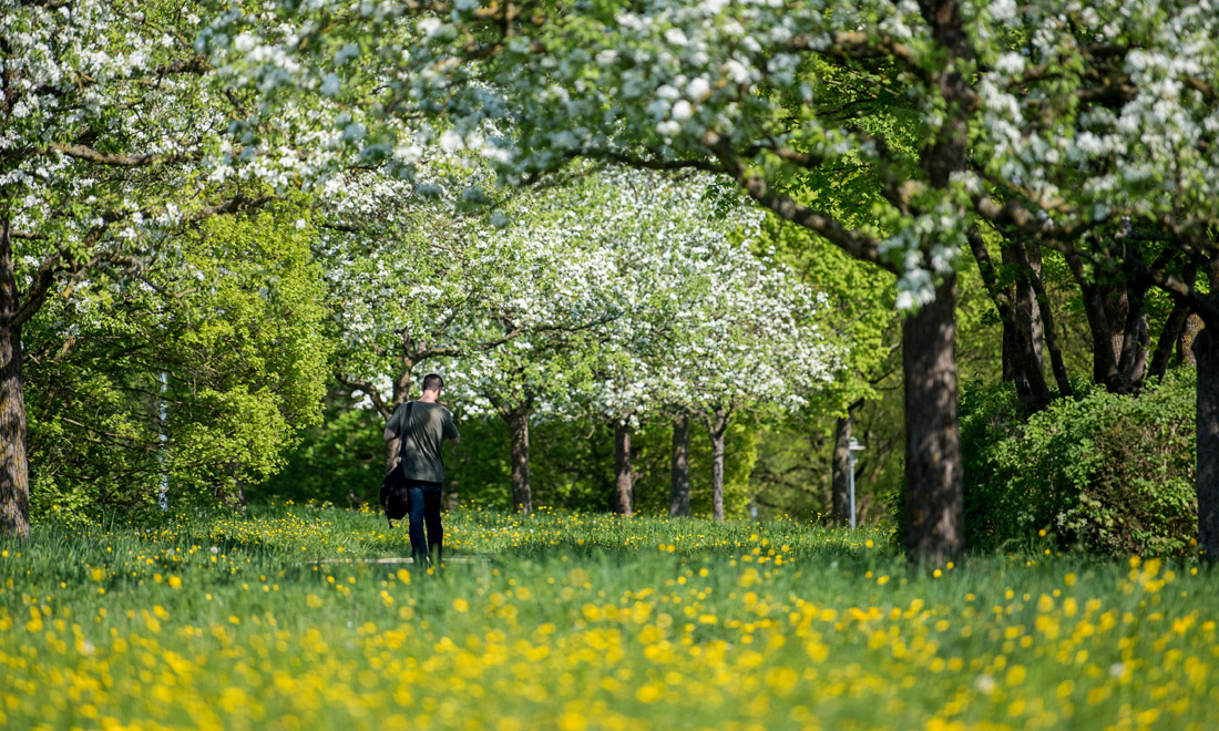 La primavera nel mondo: le foto più belle La primavera nel mondo: le foto più belle