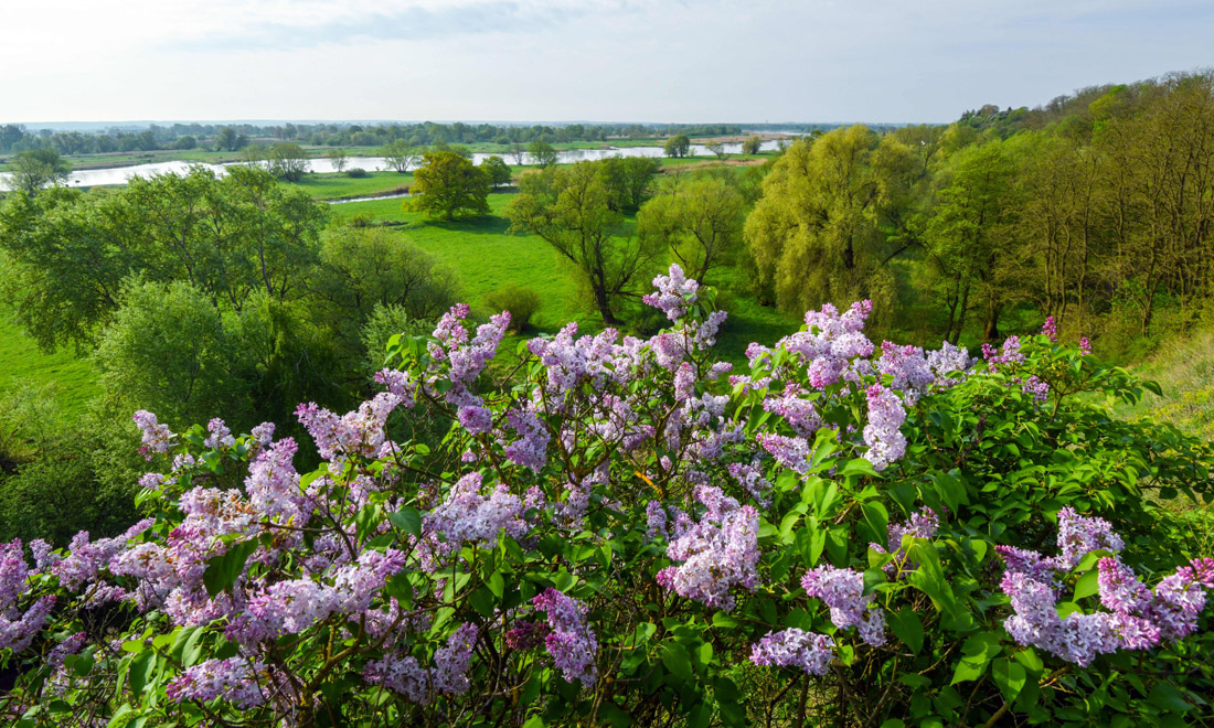 La primavera nel mondo: le foto più belle La primavera nel mondo: le foto più belle