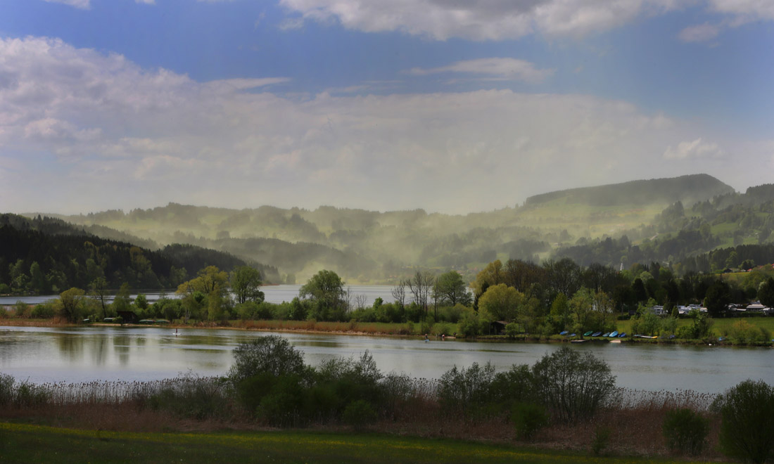 La primavera nel mondo: le foto più belle La primavera nel mondo: le foto più belle