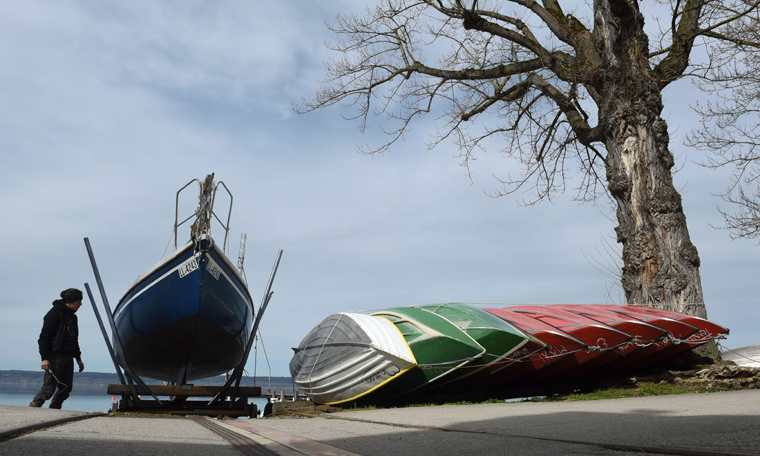 La primavera nel mondo: le foto più belle La primavera nel mondo: le foto più belle