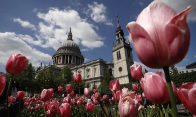 La primavera nel mondo: le foto più belle