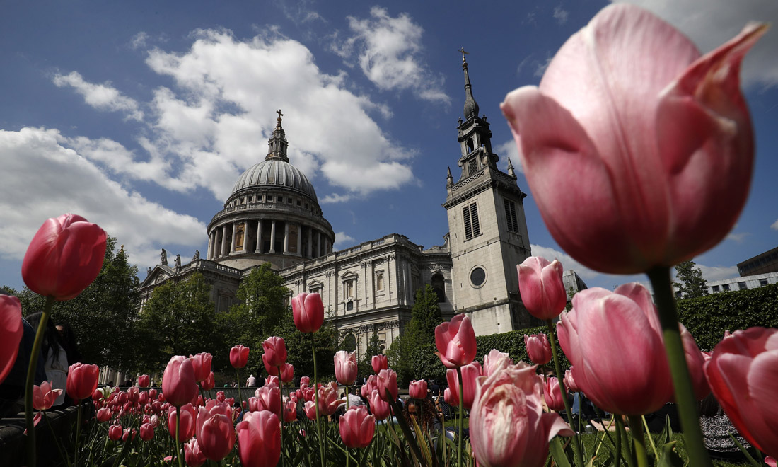La primavera nel mondo: le foto più belle La primavera nel mondo: le foto più belle