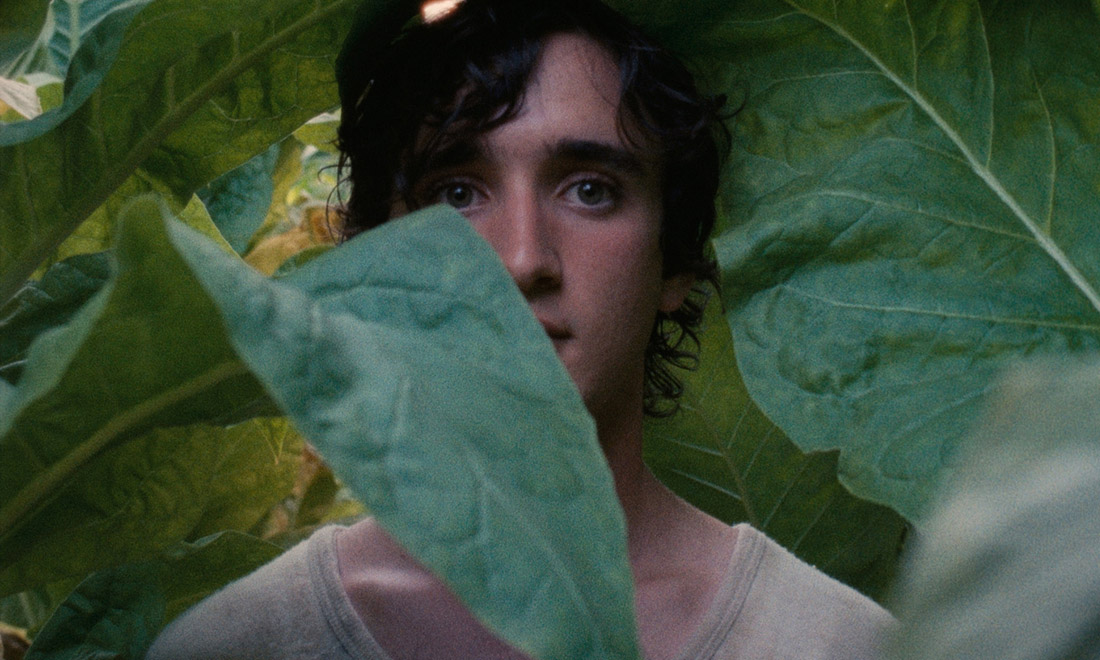 Festival di Cannes 2018, 10 film da non perdere