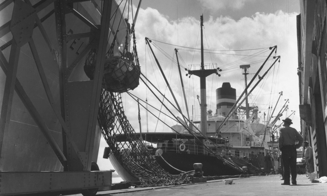 New Orleans: 300 anni per la città di jazz, tempeste e rinascita – Foto New Orleans: 300 anni per la città di jazz, tempeste e rinascita – Foto