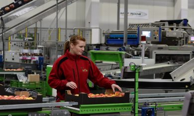 Europa: sei economie in espansione