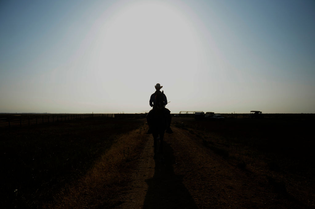 Le foto del giorno – 29/06/2018