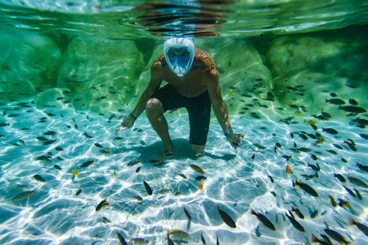 Galleria foto 'Le foto del giorno – 29/06/2018' - foto 32