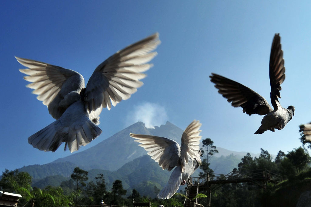 Le foto del giorno – 29/06/2018