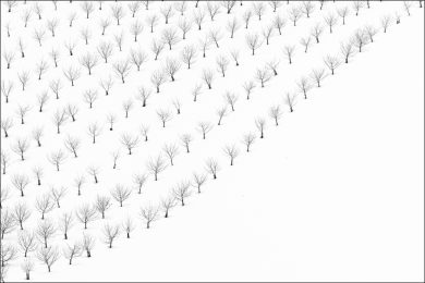 L’Archivio Fotografico Italiano ai RIP di Arles 2018