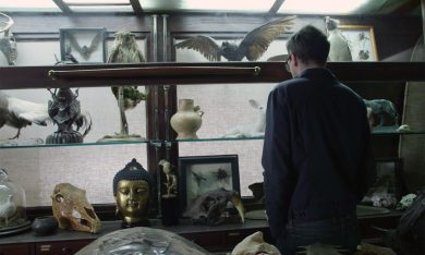 Com’è nata La stanza delle meraviglie del film di Todd Haynes