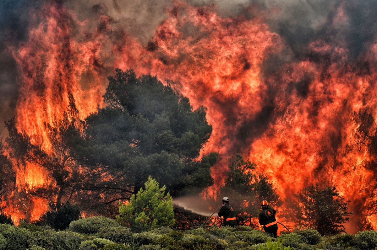 Galleria foto 'Incendi in Grecia: tutte le misure straordinarie' - foto 13