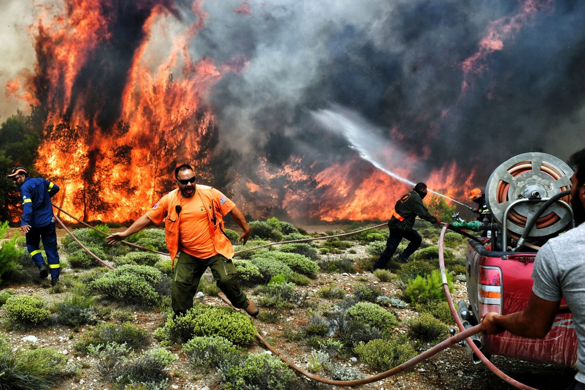 Galleria foto 'Incendi in Grecia: tutte le misure straordinarie' - foto 14