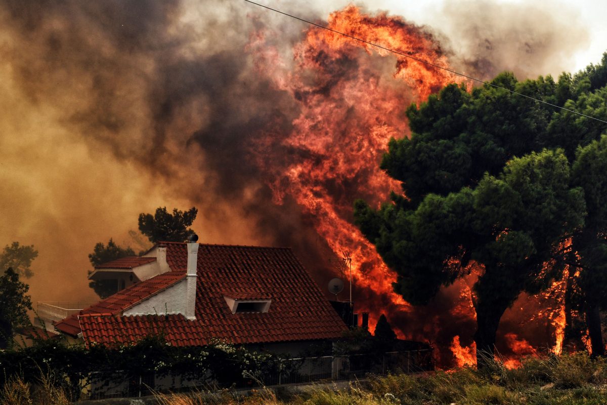 Galleria foto 'Incendi in Grecia: tutte le misure straordinarie' - foto 12