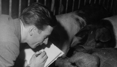 Se la verità è impopolare va raccontata ugualmente