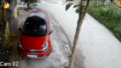 La manovra infinita della ragazza al volante | video