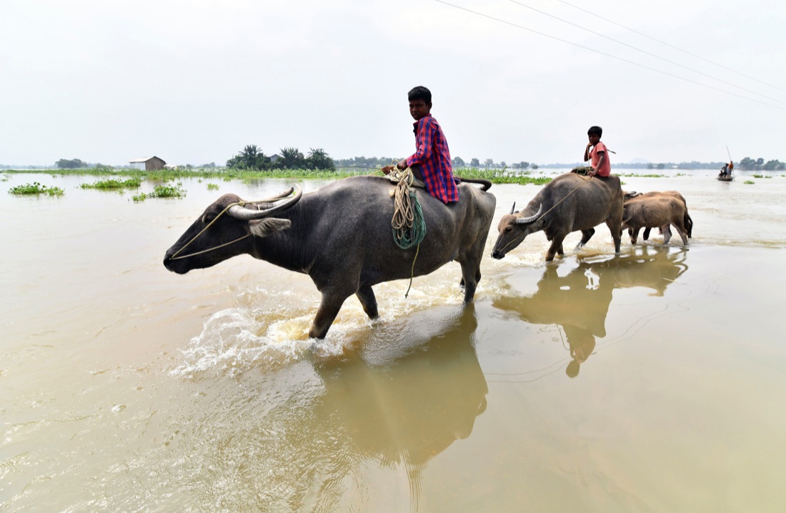 India: le piogge monsoniche allagano il Paese