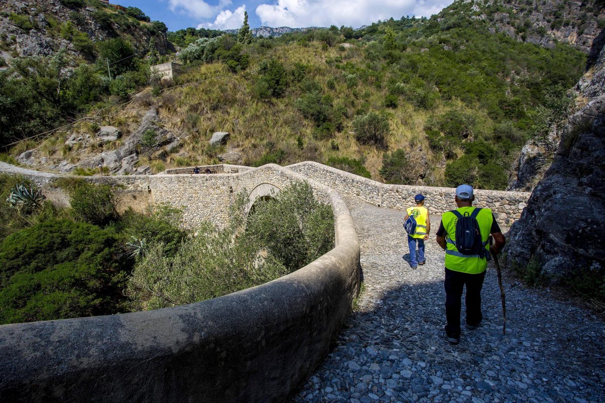 Galleria foto 'Calabria, 10 morti nel parco del Pollino: cosa è successo' - foto 12
