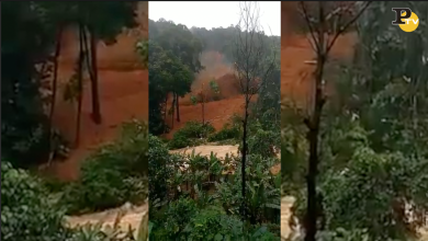 Kerala: alluvioni e frane causano quasi 400 morti | video