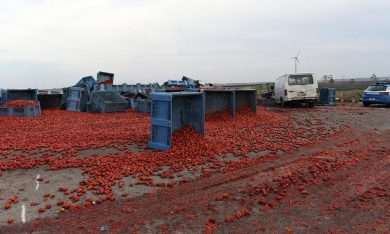 Gli industriali pugliesi: “Il caporalato danneggia anche noi”