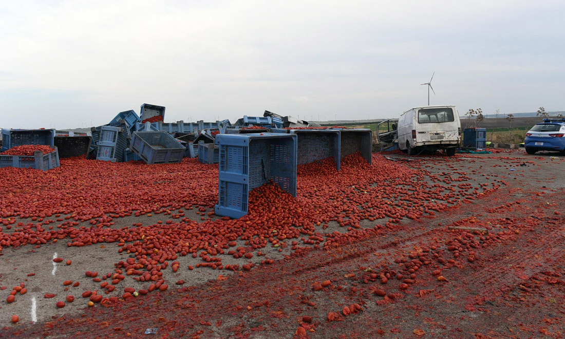 Gli industriali pugliesi: “Il caporalato danneggia anche noi” Gli industriali pugliesi: “Il caporalato danneggia anche noi”