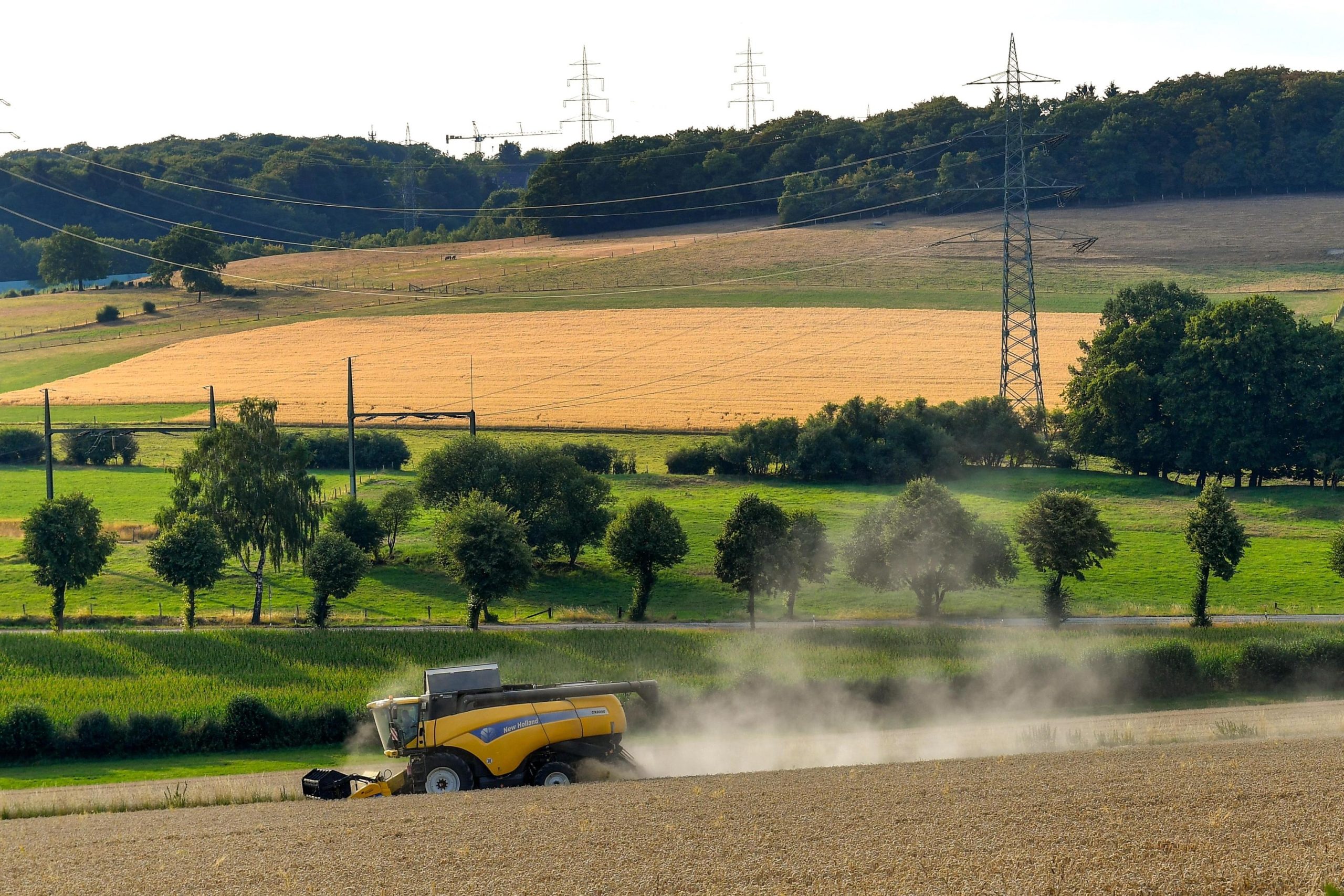 Aste al doppio ribasso, ecco come i discount strozzano l’agricoltura italiana