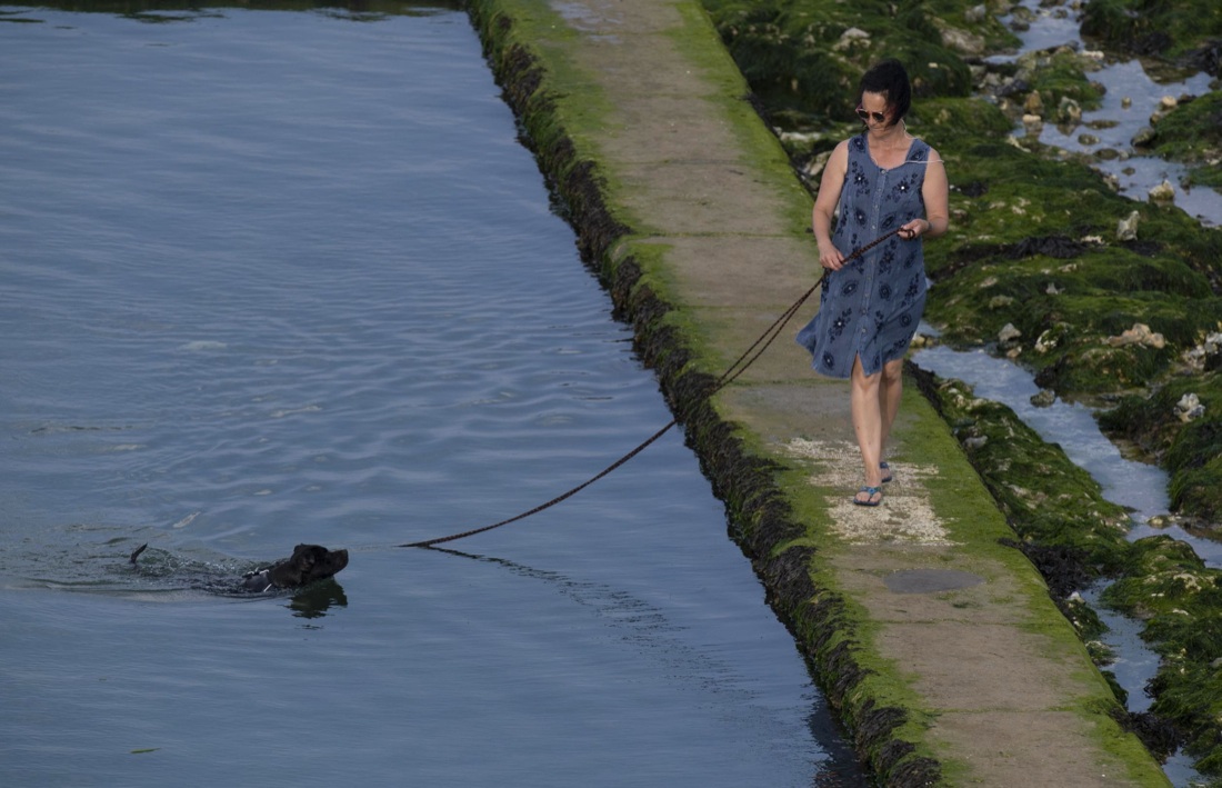Ondata di caldo: foto dal mondo