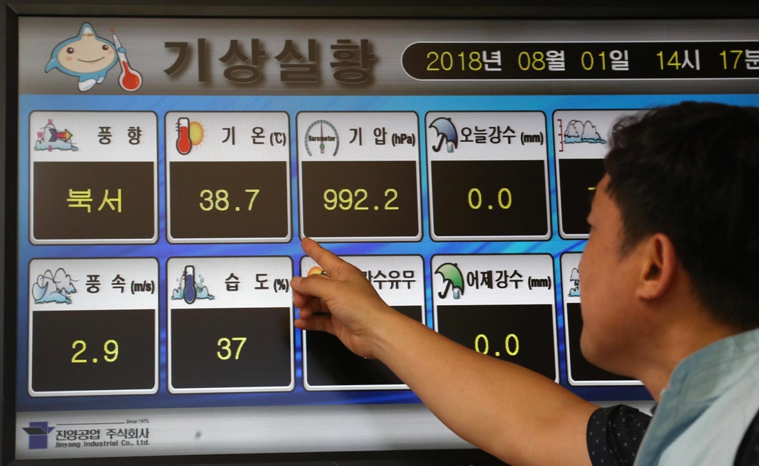 Ondata di caldo: foto dal mondo