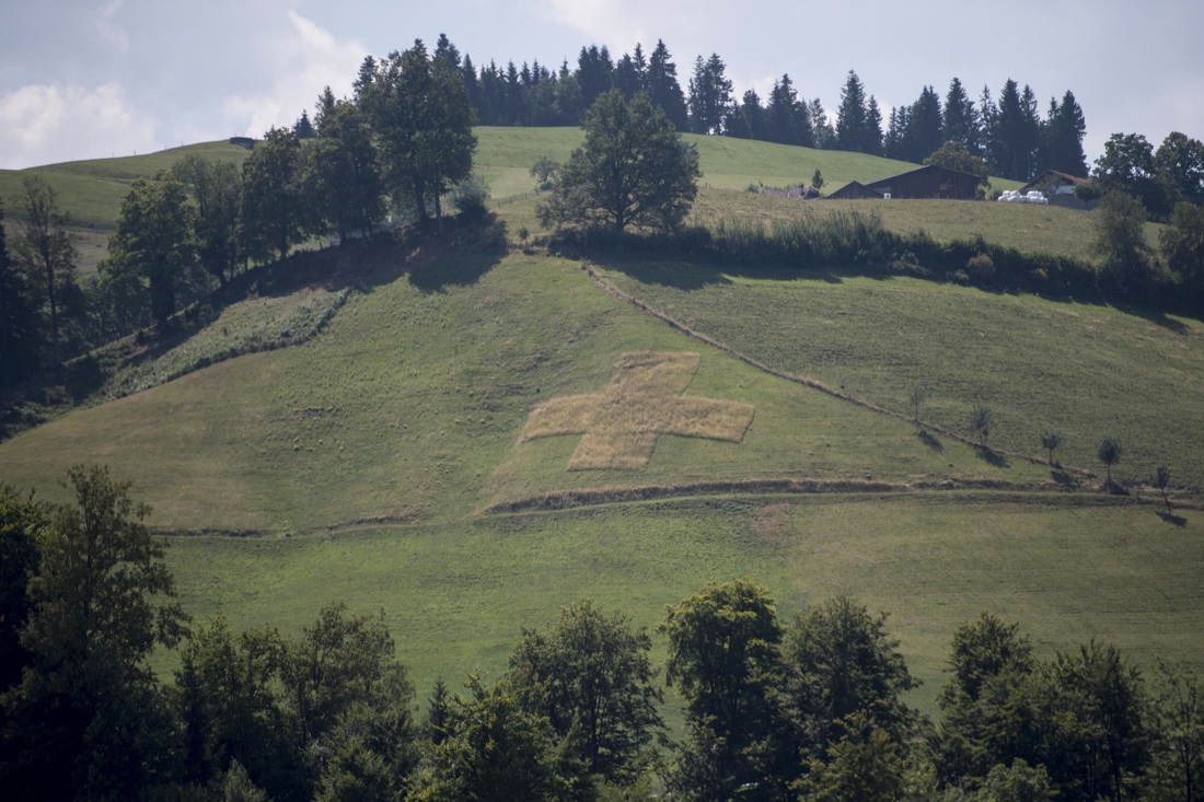 Ondata di caldo: foto dal mondo