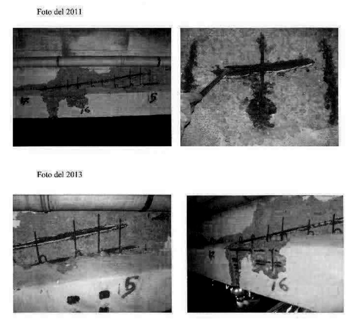 Galleria foto 'Le foto del giorno – 28/09/2018' - foto 14