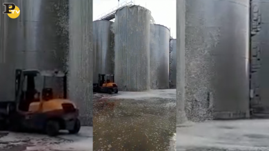 Cisterna di Prosecco tracima migliaia di litri di vino | video