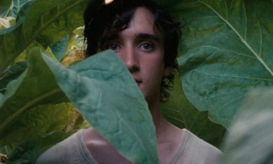 Oscar 2019: i 21 italiani candidati a miglior film straniero