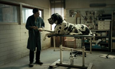 Dogman di Matteo Garrone: il dvd in edicola con Panorama