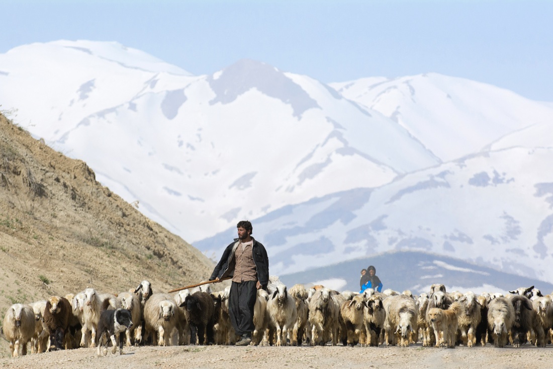 Storie di nomadi dell’Asia in mostra al Mao di Torino