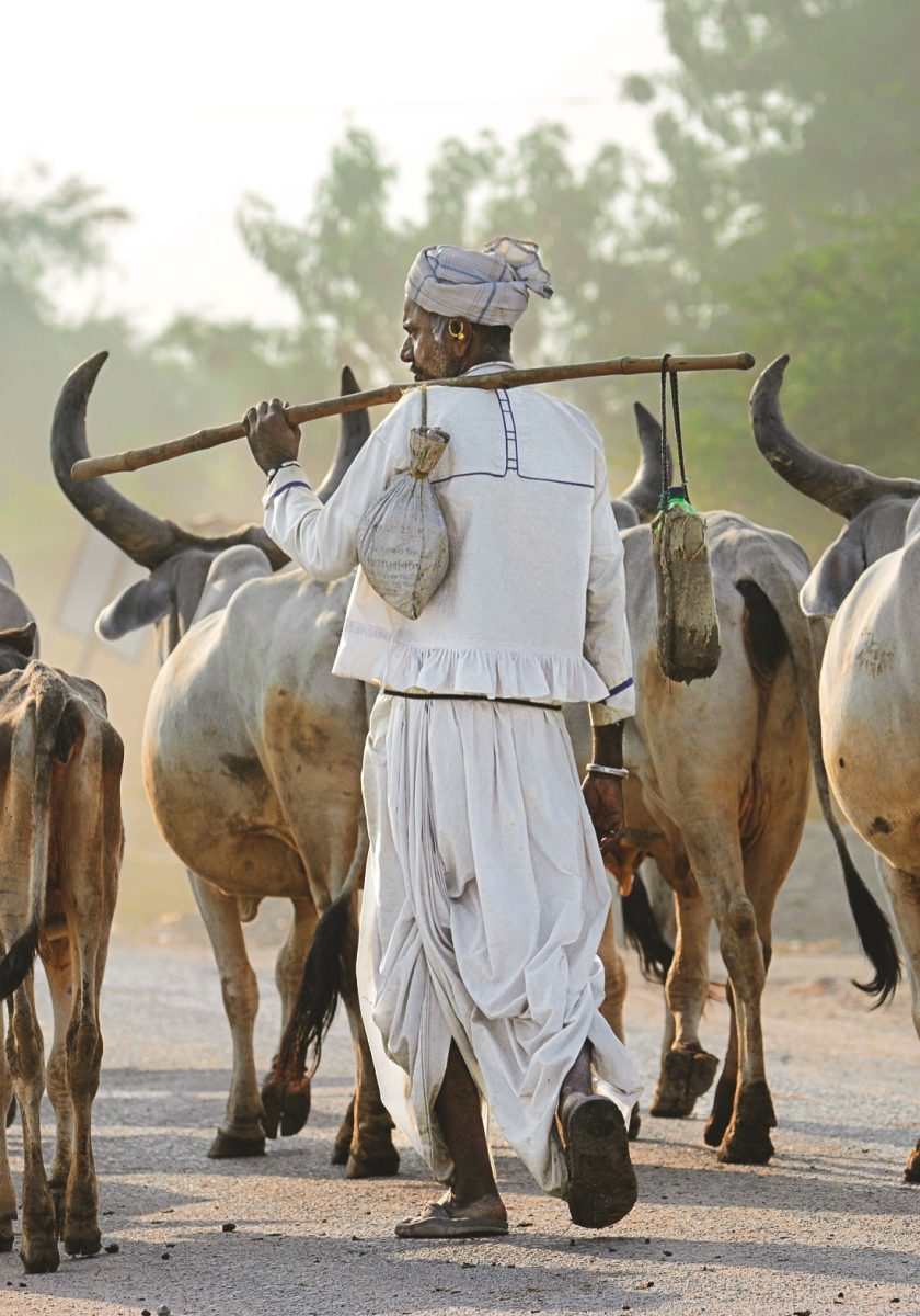 Storie di nomadi dell’Asia in mostra al Mao di Torino