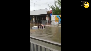 Chieti: auto sommersa. Uomo si tuffa e salva la conducente intrappolata | video