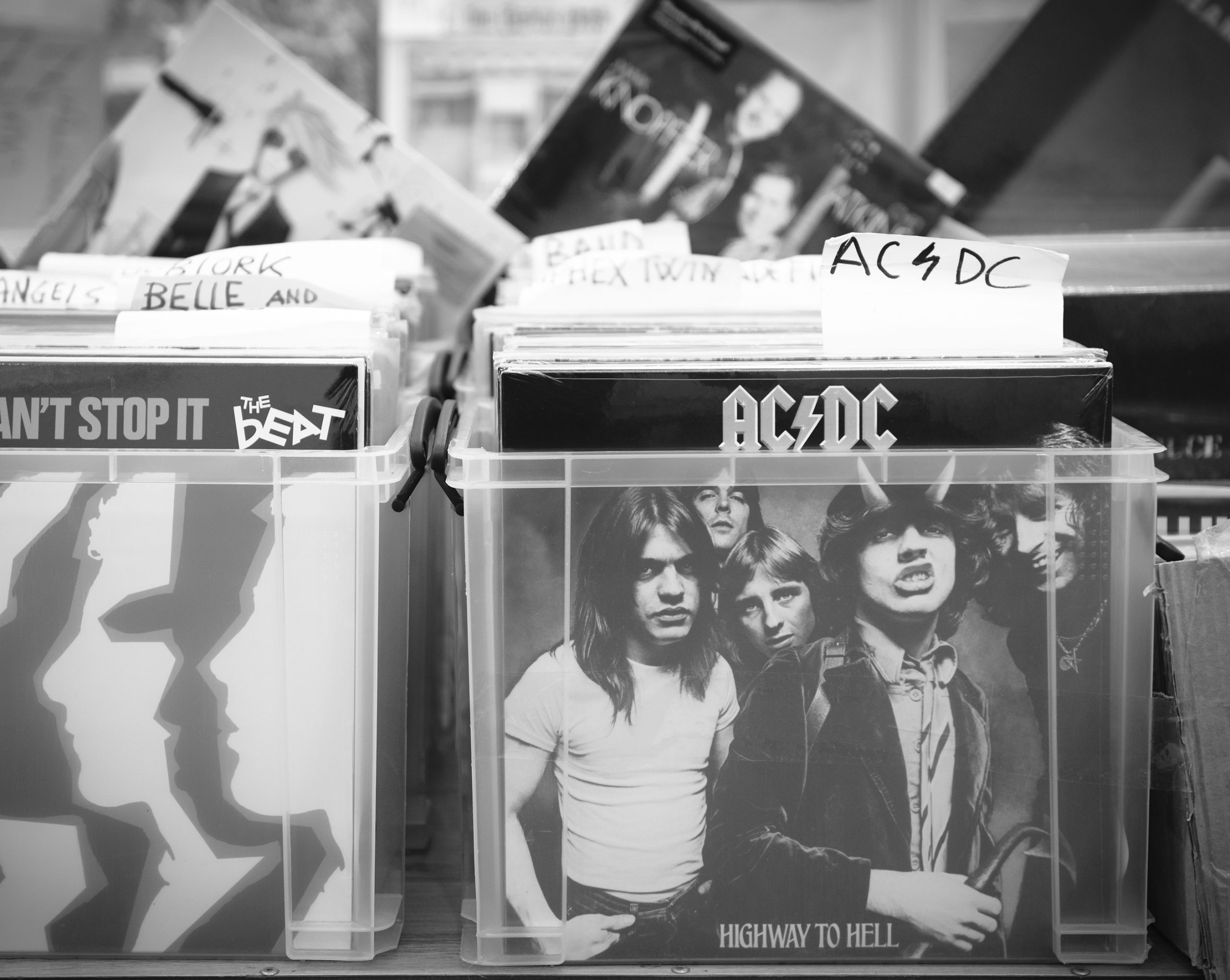 Novegro Vinile Expo: la due giorni dei dischi cult e da collezione Novegro Vinile Expo: la due giorni dei dischi cult e da collezione