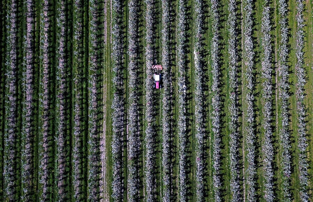 Ecco perché l’agricoltura in Italia è sempre più “rosa” Ecco perché l’agricoltura in Italia è sempre più “rosa”