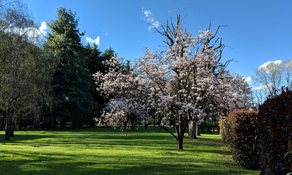 Galleria foto 'Apple, Huawei, OnePlus, LG, Google: lo smartphone con la fotocamera migliore?' - foto 82