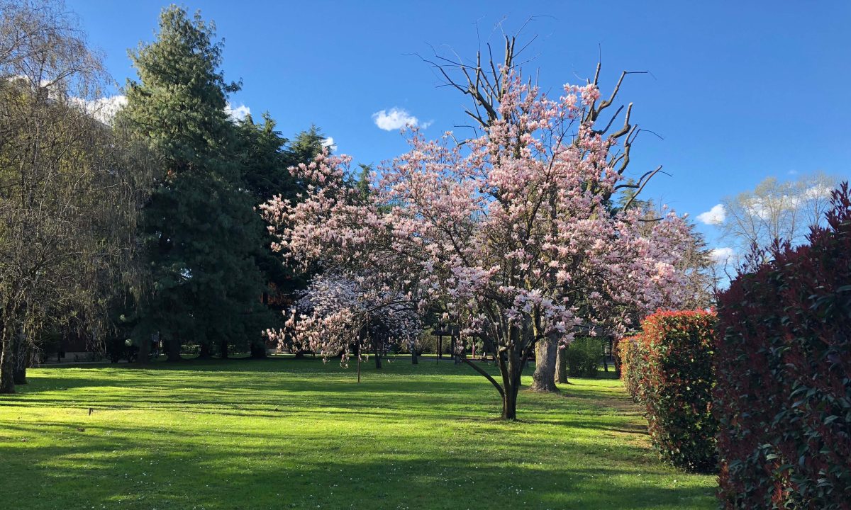 Galleria foto 'Apple, Huawei, OnePlus, LG, Google: lo smartphone con la fotocamera migliore?' - foto 84