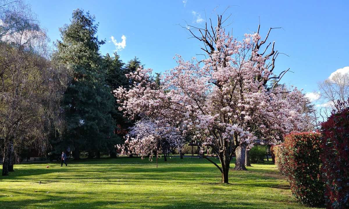 Galleria foto 'Apple, Huawei, OnePlus, LG, Google: lo smartphone con la fotocamera migliore?' - foto 85