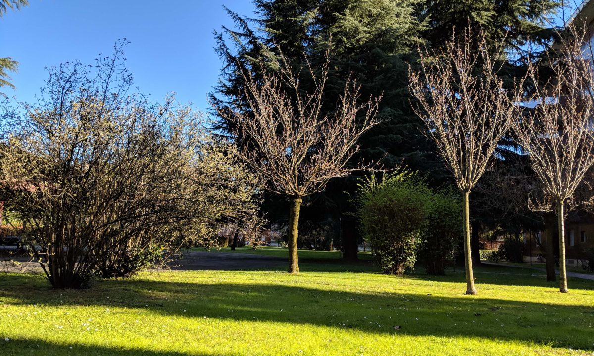 Galleria foto 'Apple, Huawei, OnePlus, LG, Google: lo smartphone con la fotocamera migliore?' - foto 62