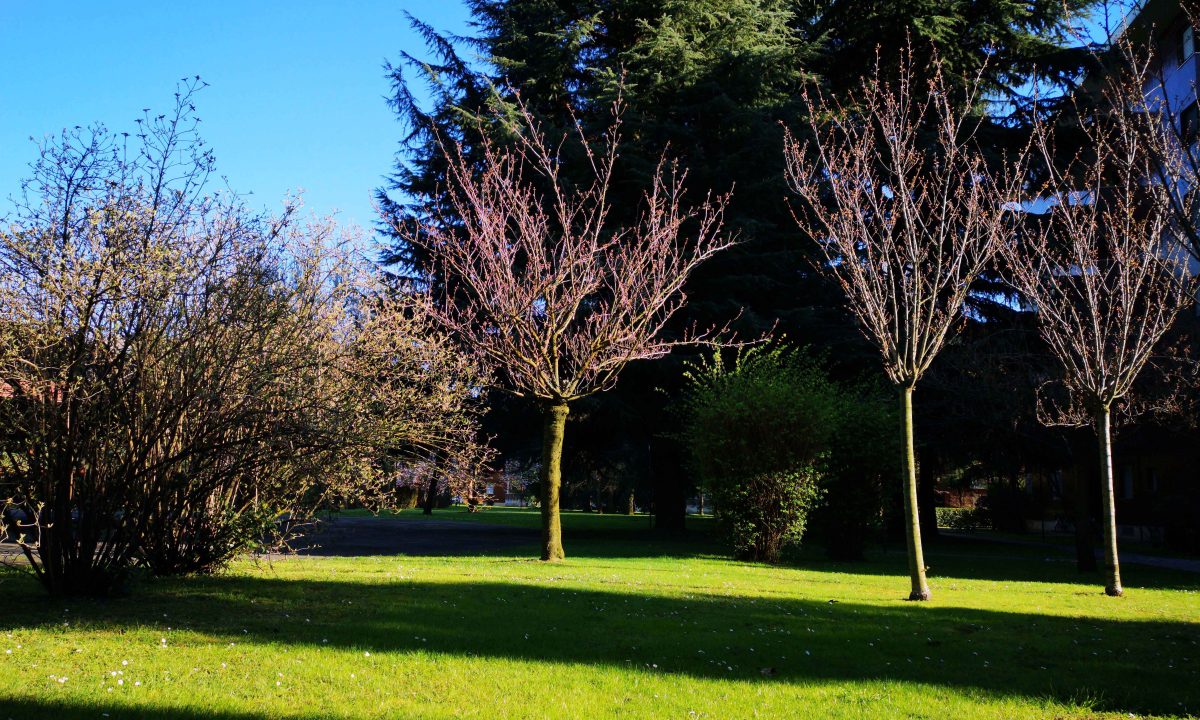 Galleria foto 'Apple, Huawei, OnePlus, LG, Google: lo smartphone con la fotocamera migliore?' - foto 63