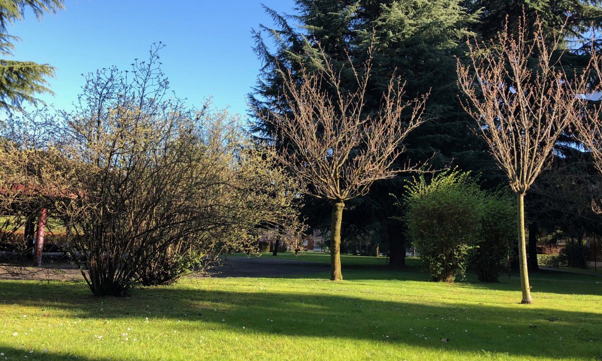 Galleria foto 'Apple, Huawei, OnePlus, LG, Google: lo smartphone con la fotocamera migliore?' - foto 64